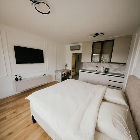 公寓 Lago Apartment 图兹拉