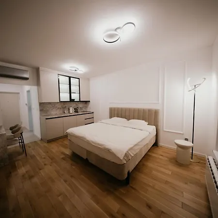 公寓 Lago Apartment 图兹拉